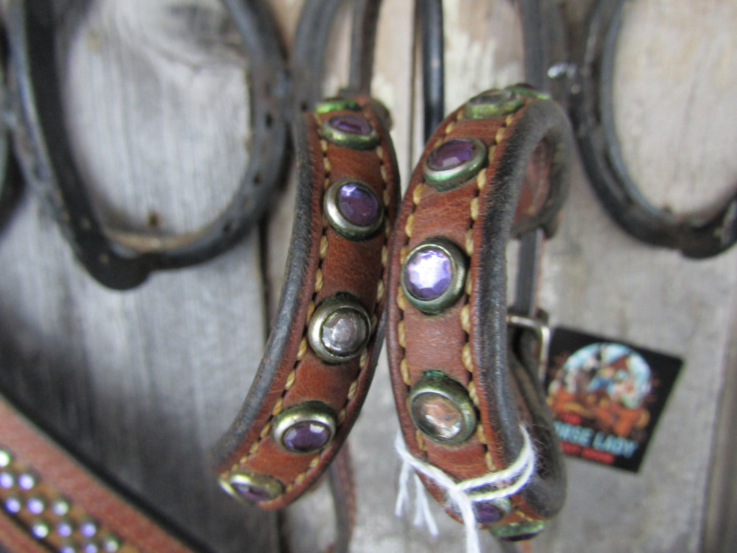 Custom Leather Breastcollar & Headstall set