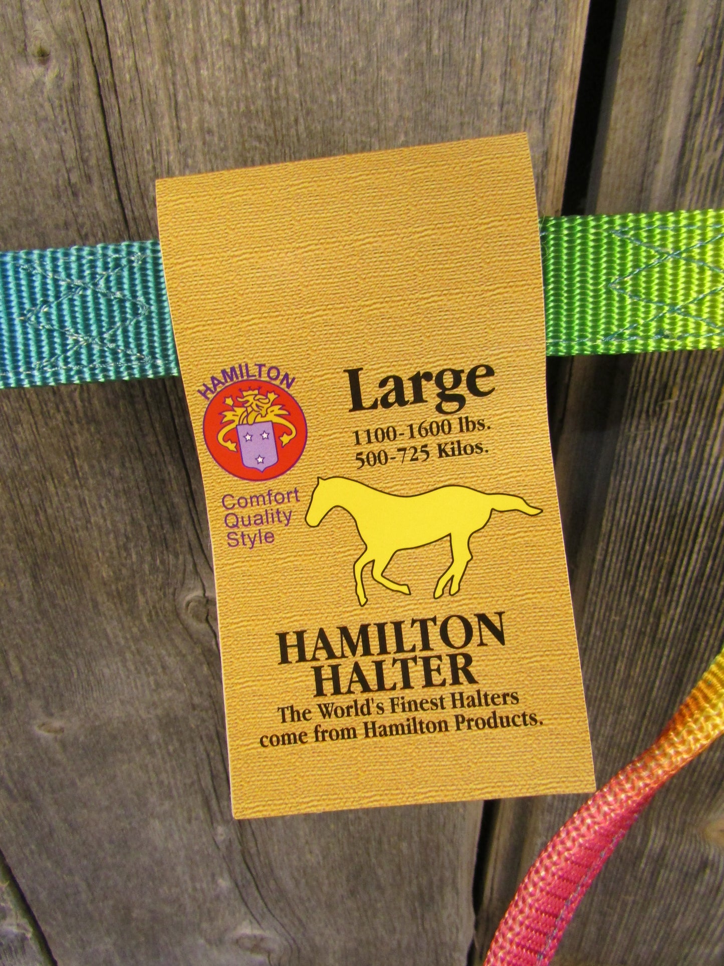 Rainbow Hamilton Nylon Halter - Large Horse- New