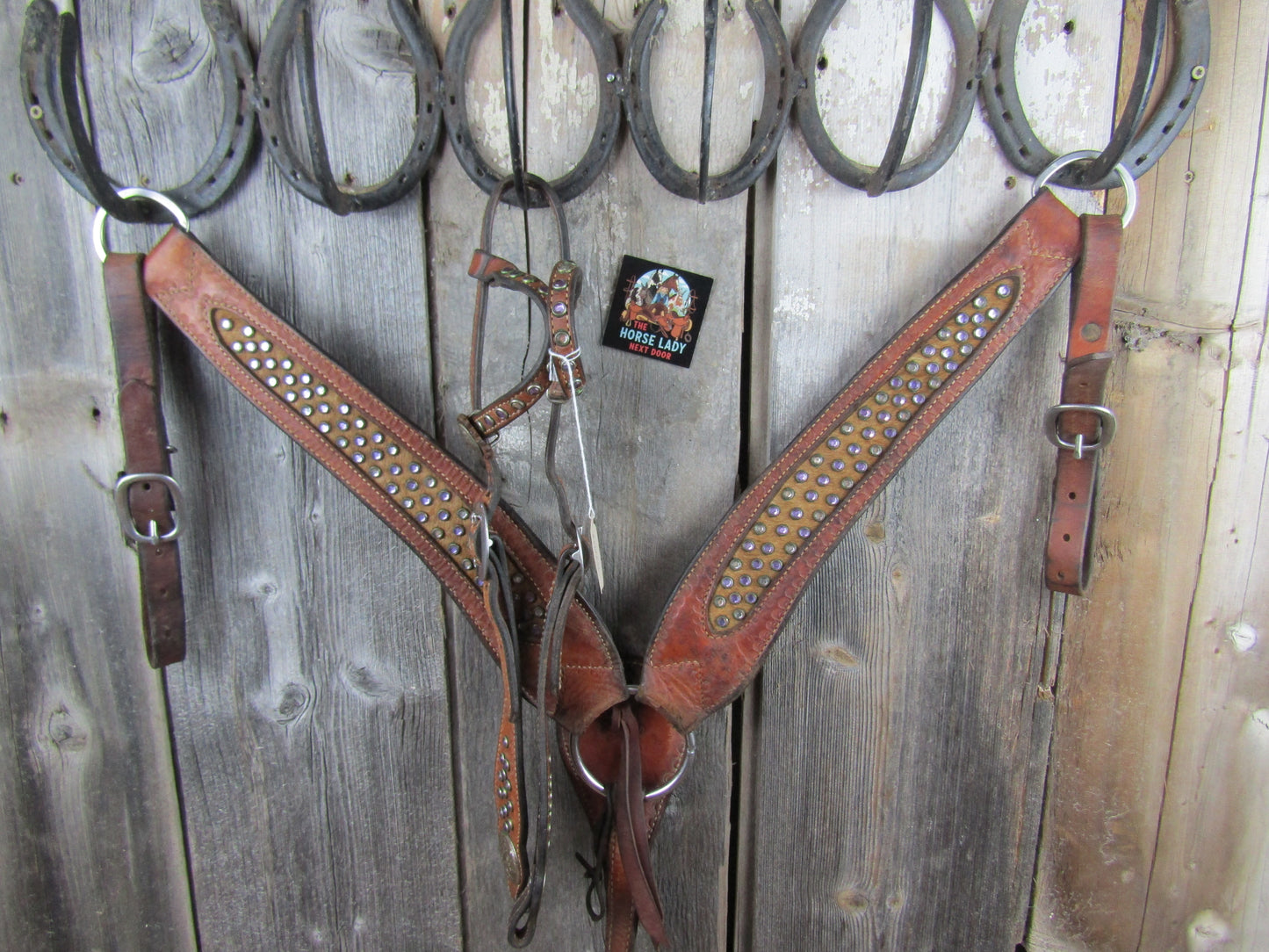 Custom Leather Breastcollar & Headstall set