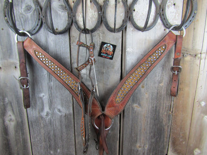 Custom Leather Breastcollar & Headstall set