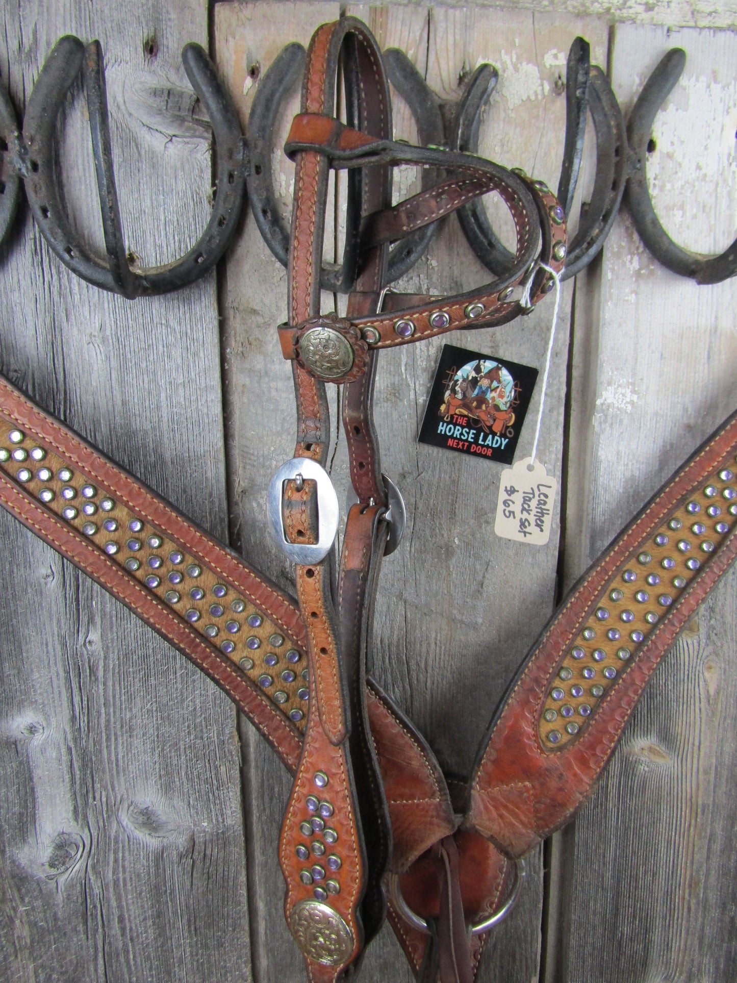 Custom Leather Breastcollar & Headstall set
