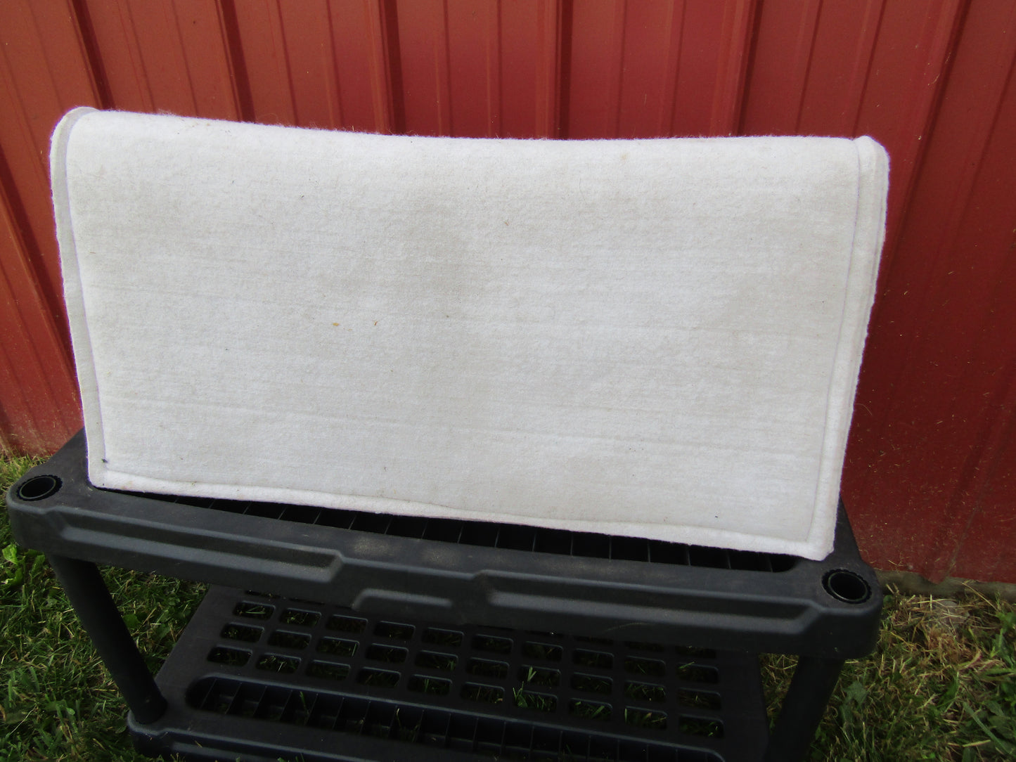 White felt Under Pad for Show Blankets - Very Nice
