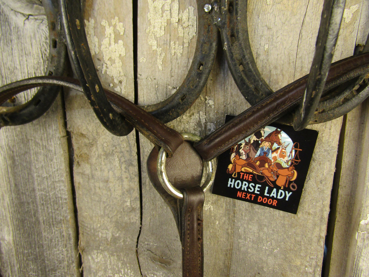 Leather English Breastplate- Used