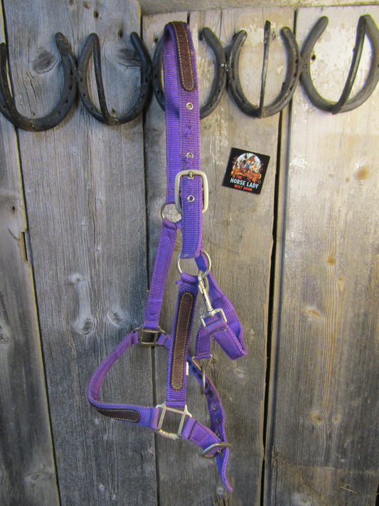Horse Size Purple Nylon Halter with Leather Overlays