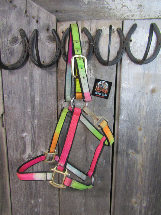 Small Horse Rainbow Halter- thick