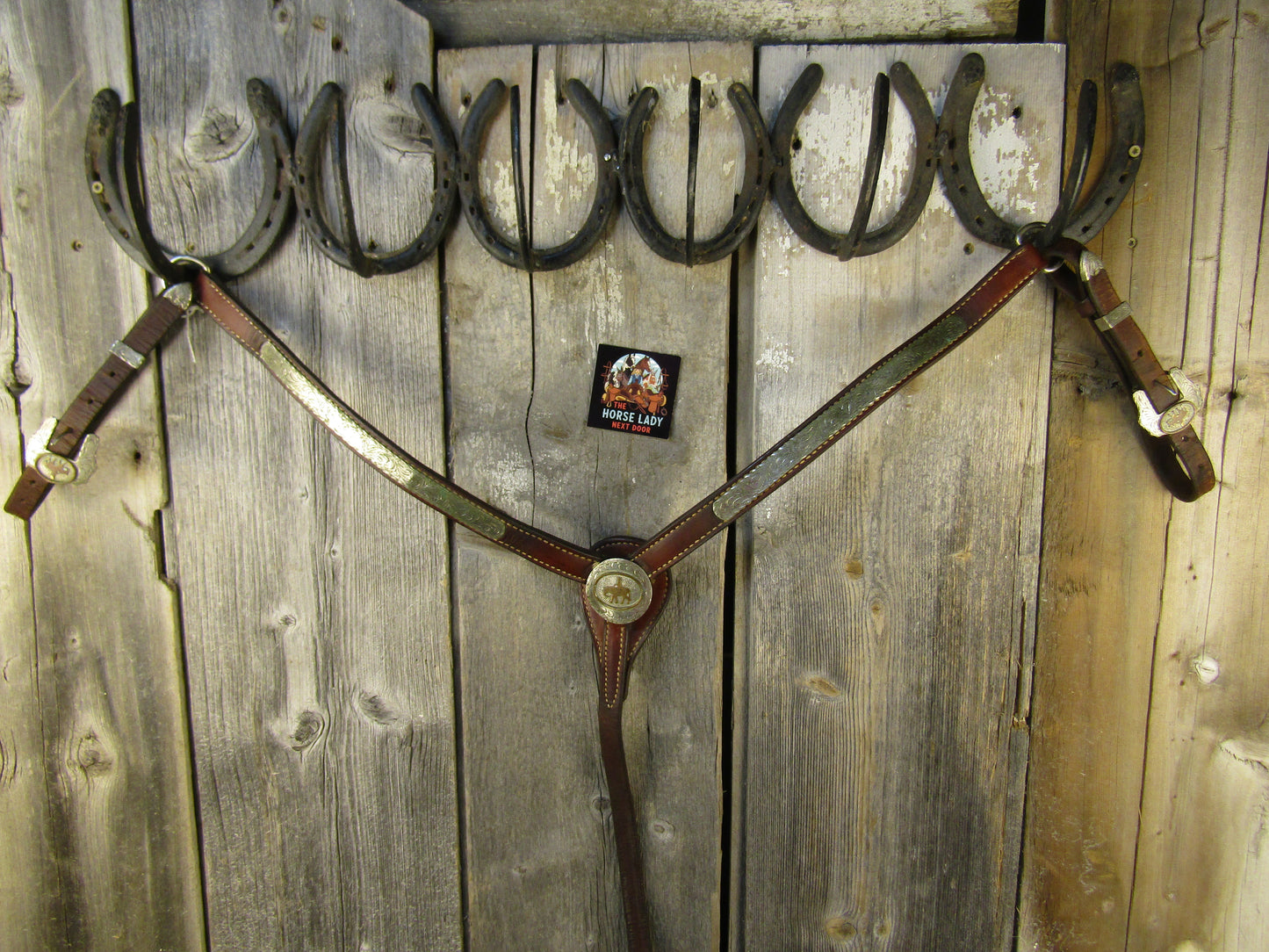 Western Pleasure Breast collar with Silver Trim - Used