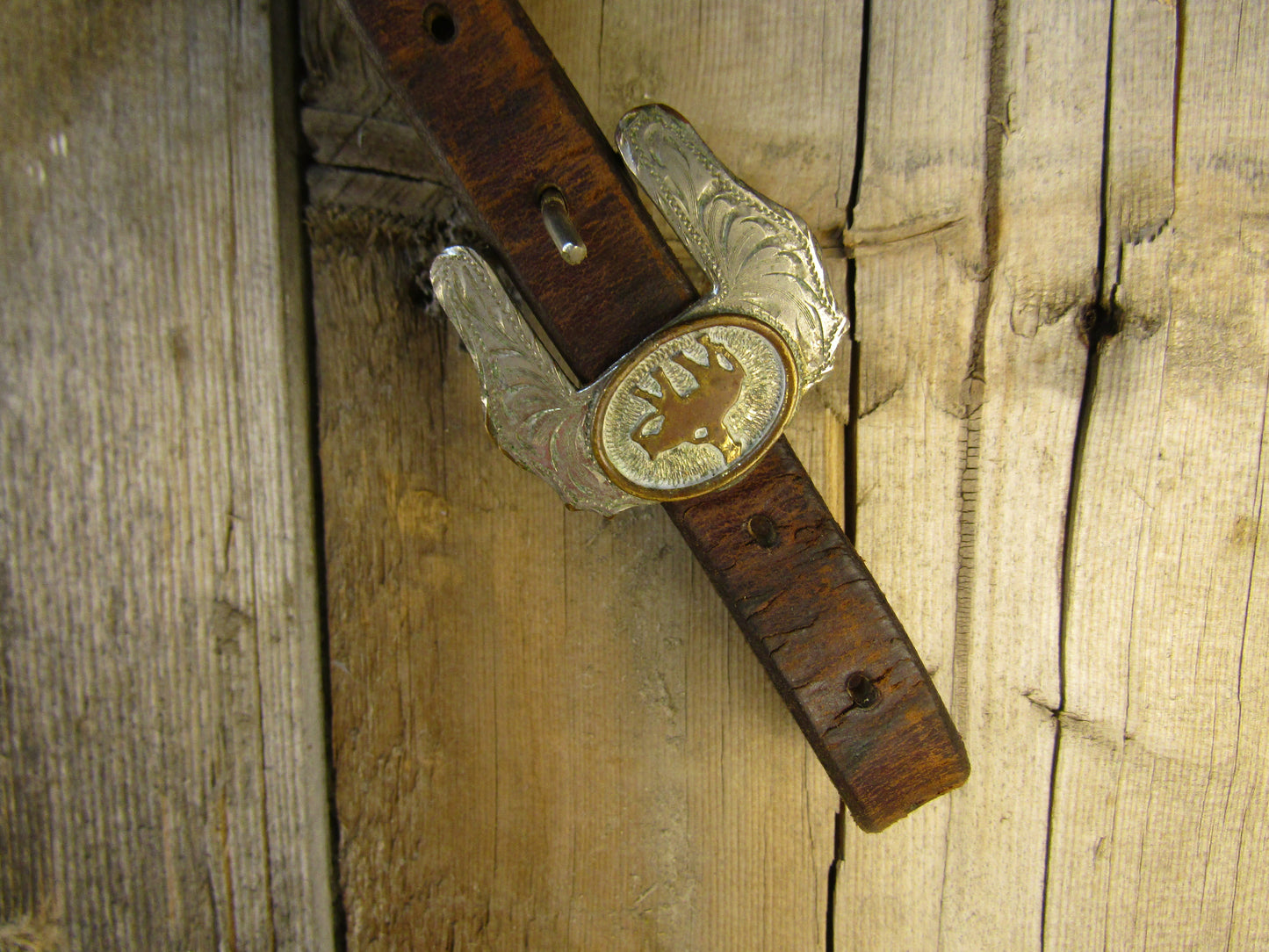 Western Pleasure Breast collar with Silver Trim - Used