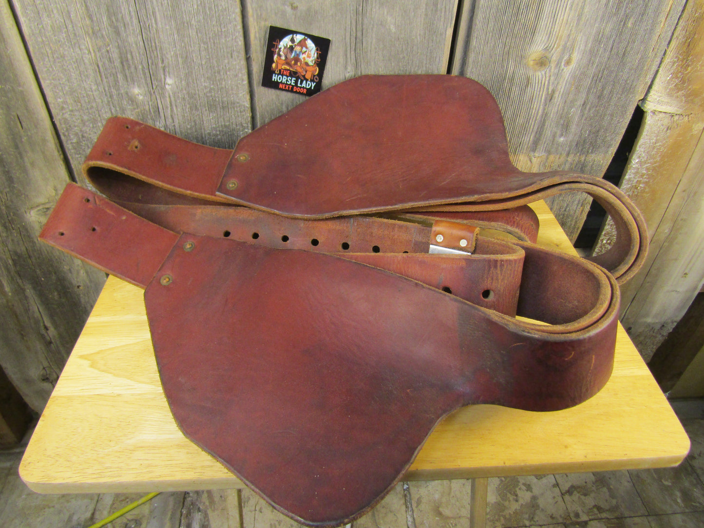 Heavy Harness Youth Fenders - Used