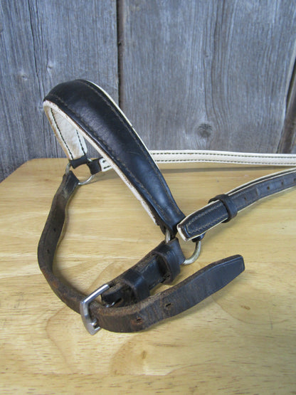 Black & White Leather English Caveson- Used