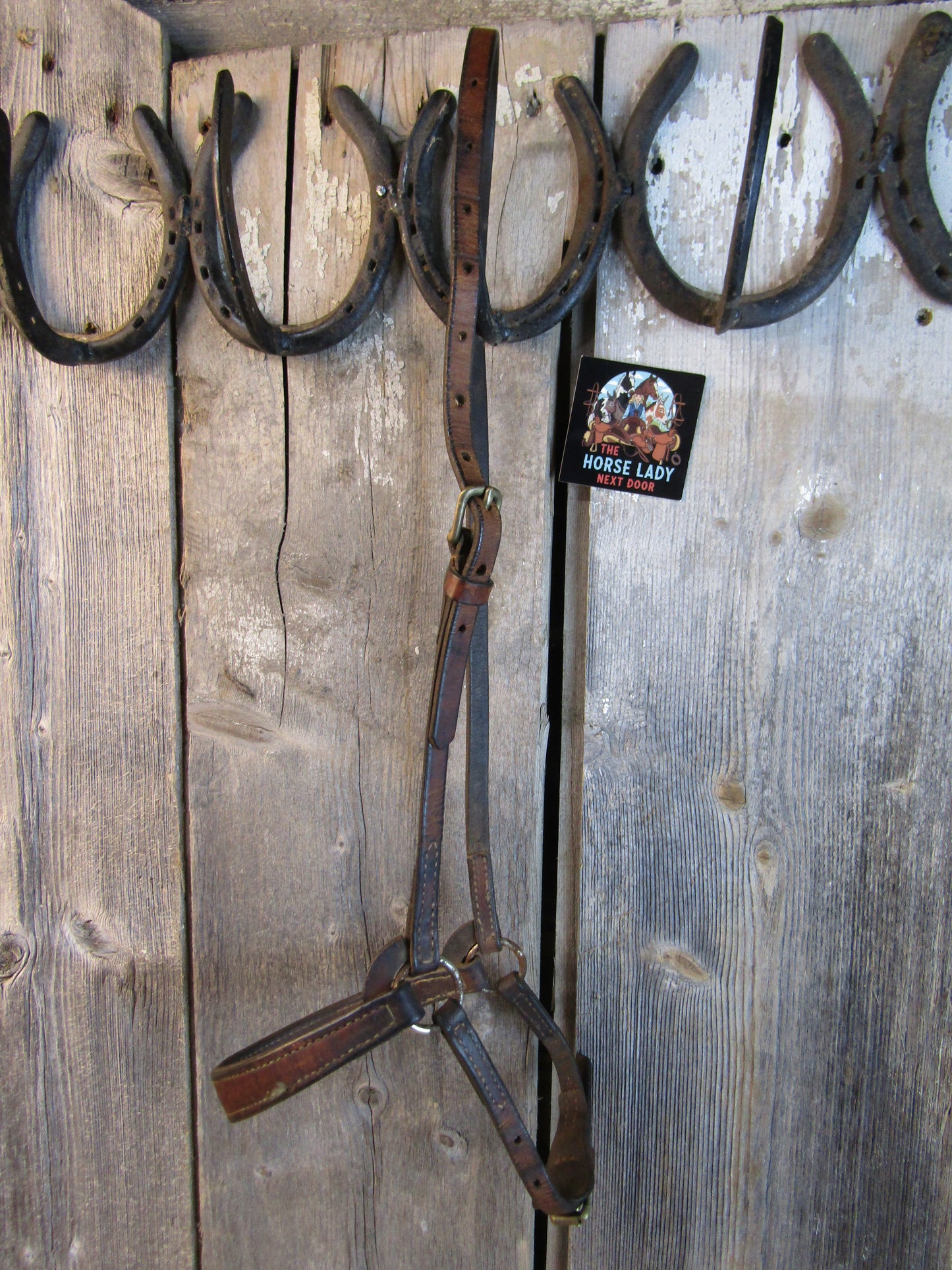 Used Brown Leather English Caveson
