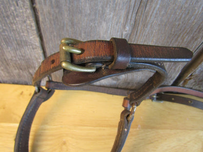 Used Brown Leather English Caveson