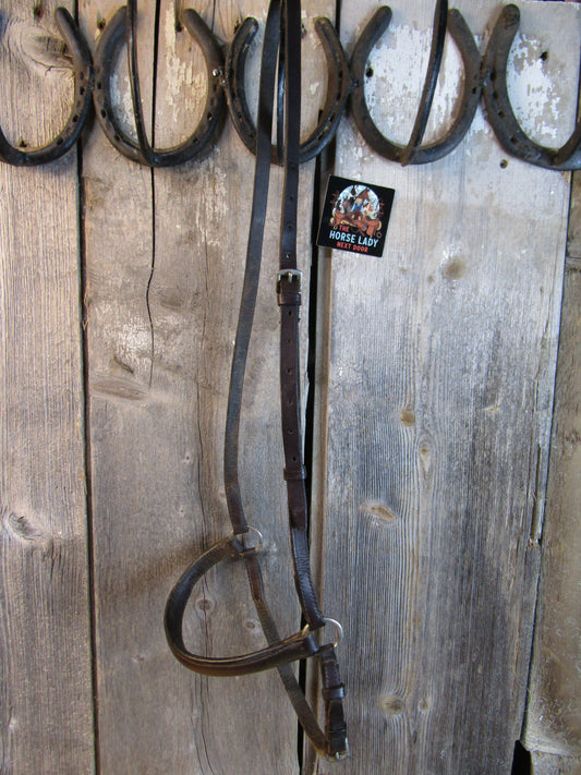 Used Brown English Leather Caveson