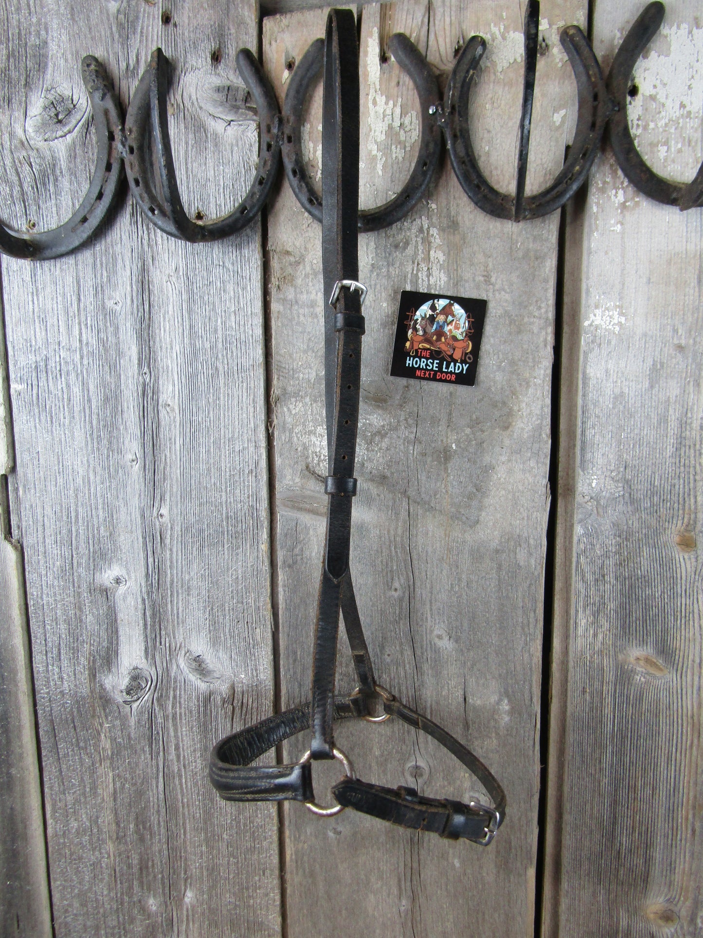 Used Black Leather English Caveson