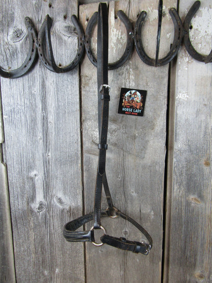 Used Black Leather English Caveson